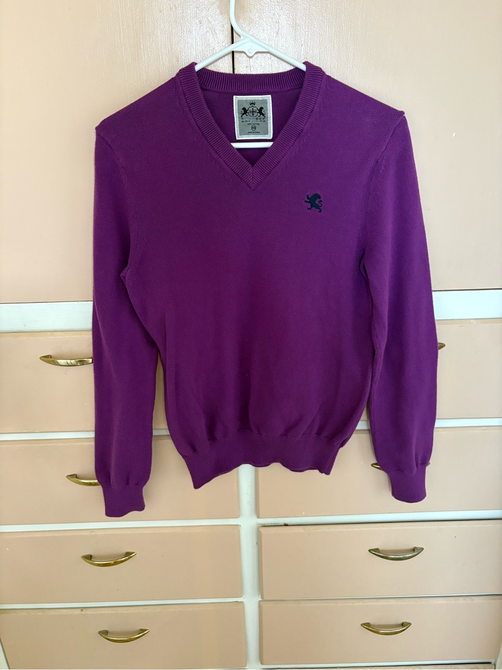 Express Men's V-Neck Sweater in Deep Purple